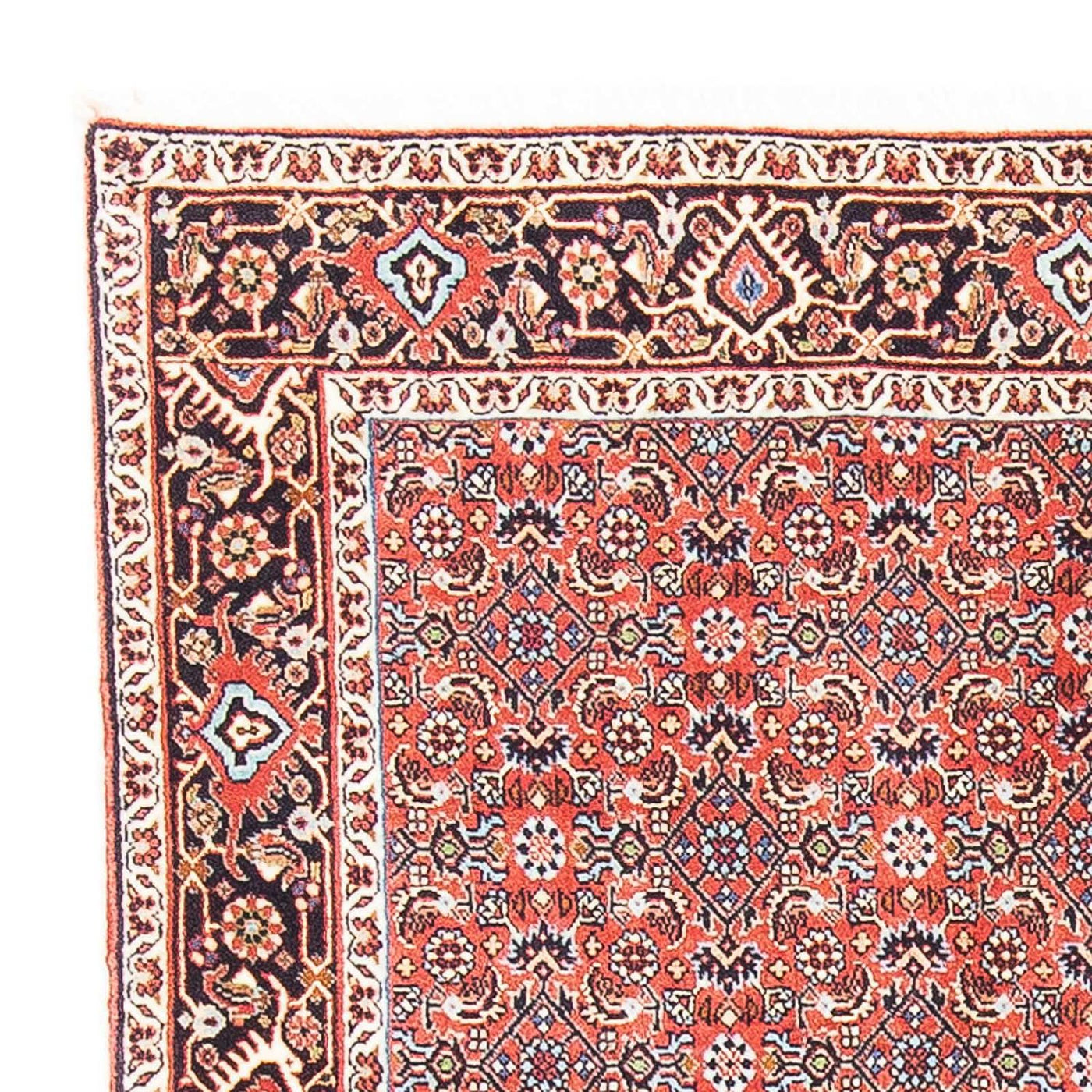 Bidjar Rug 137x96cm - Persian Rugs