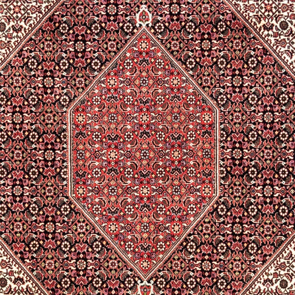 Perser Rug - Bidjar - 349 x 252 cm - red