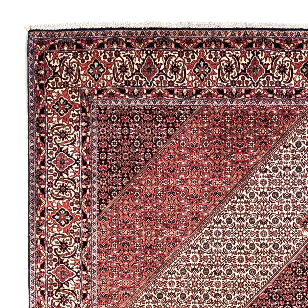 Bidjar - Takab Rug 252x349cm - Persian Rugs