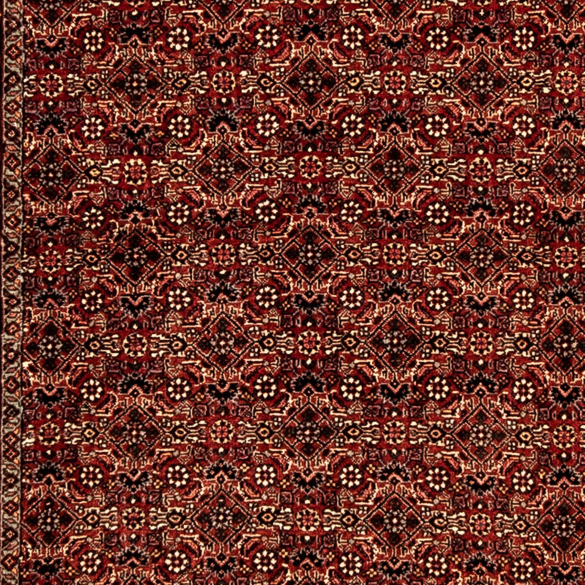 Runner Perser Rug - Bidjar - 305 x 86 cm - multicolored