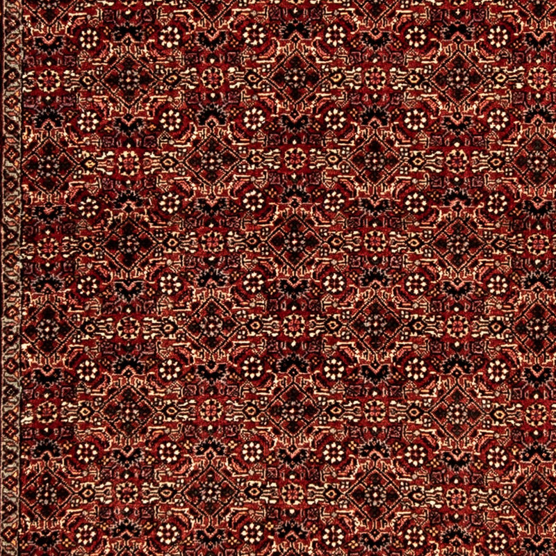 Runner Perser Rug - Bidjar - 305 x 86 cm - multicolored