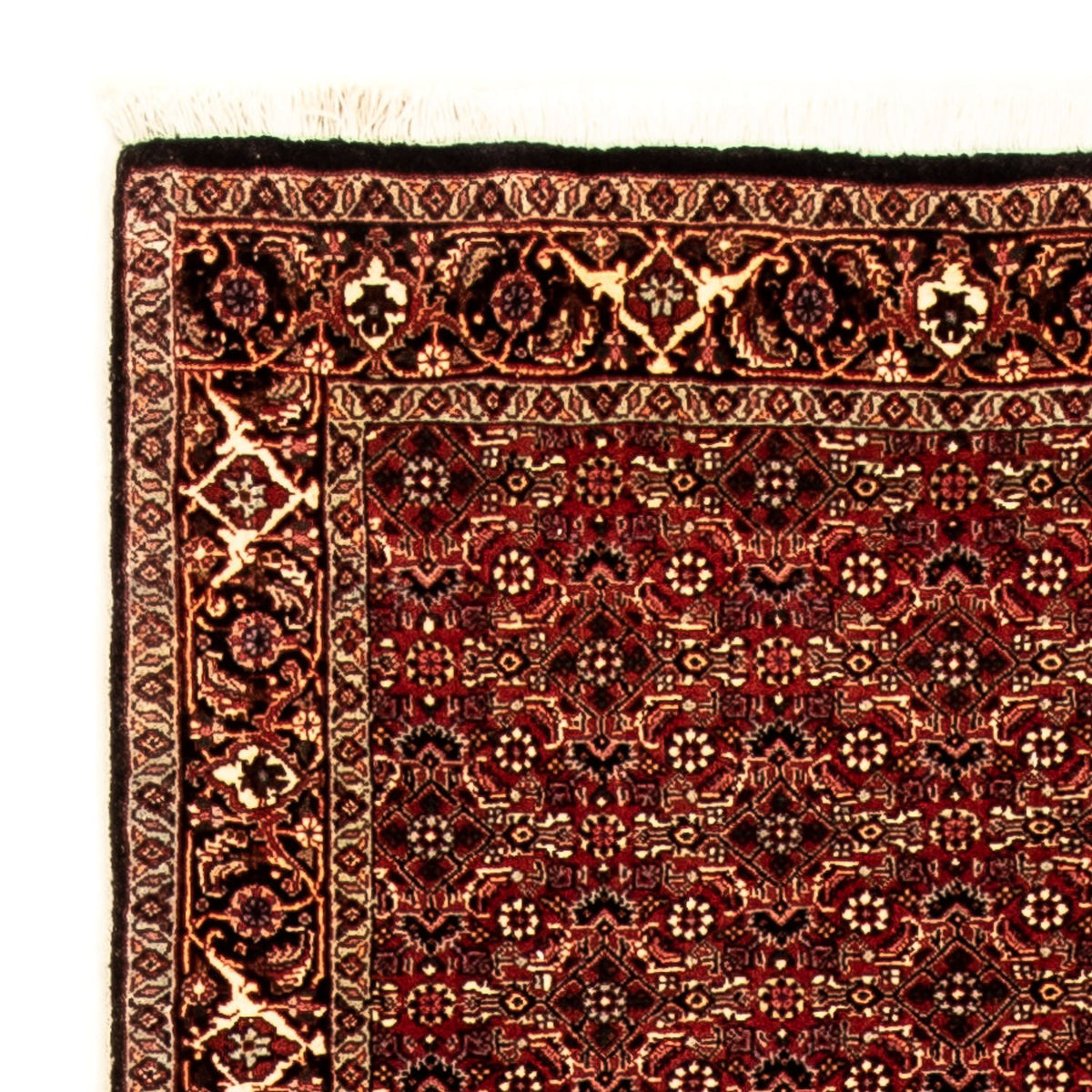 Runner Perser Rug - Bidjar - 305 x 86 cm - multicolored