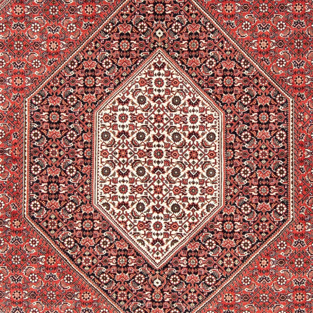 Perser Rug - Bidjar - 251 x 170 cm - light red