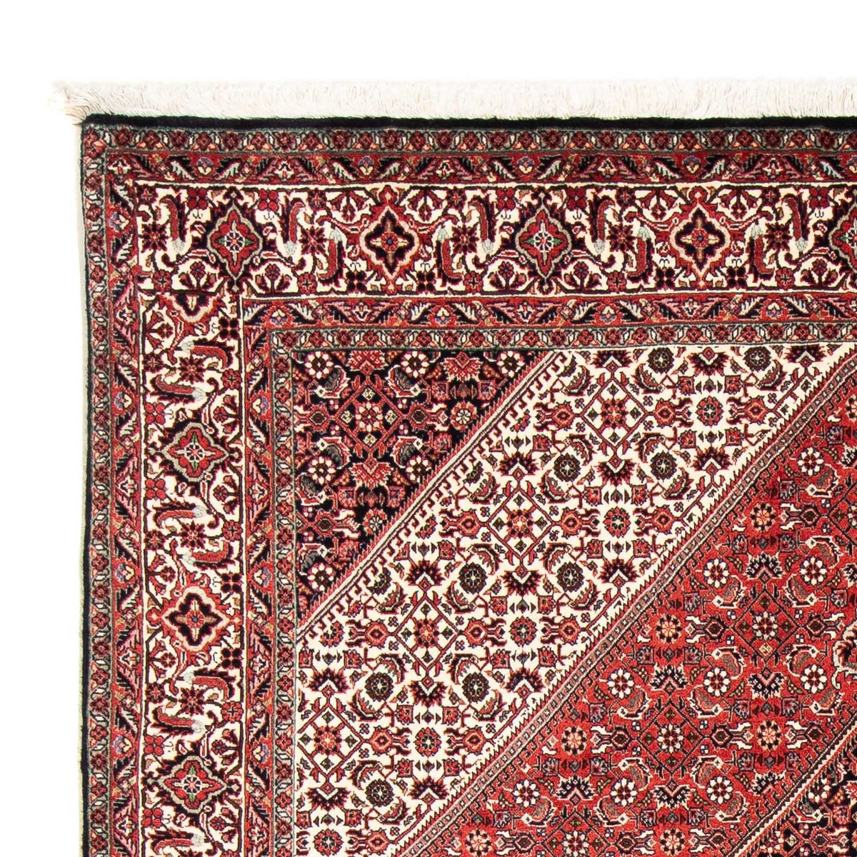 Perser Rug - Bidjar - 251 x 170 cm - light red