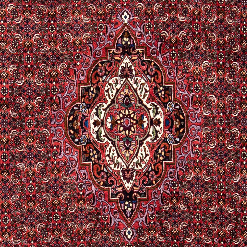 Bidjar Teppich 241x172cm - Perserteppich
