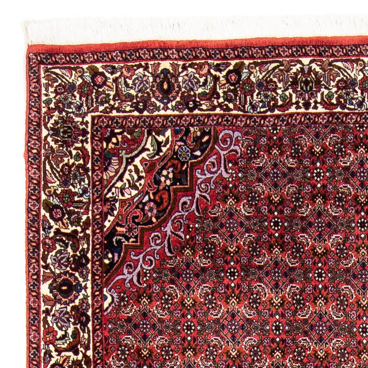 Bidjar Teppich 241x172cm - Perserteppich