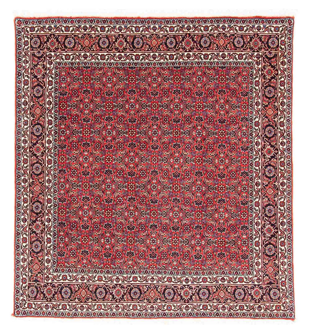 Perser Rug - Bidjar square  - 126 x 124 cm - red