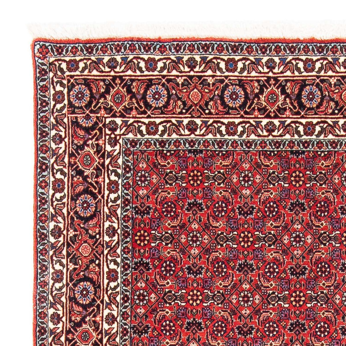 Bidjar Rug 124x126cm - Persian Rugs