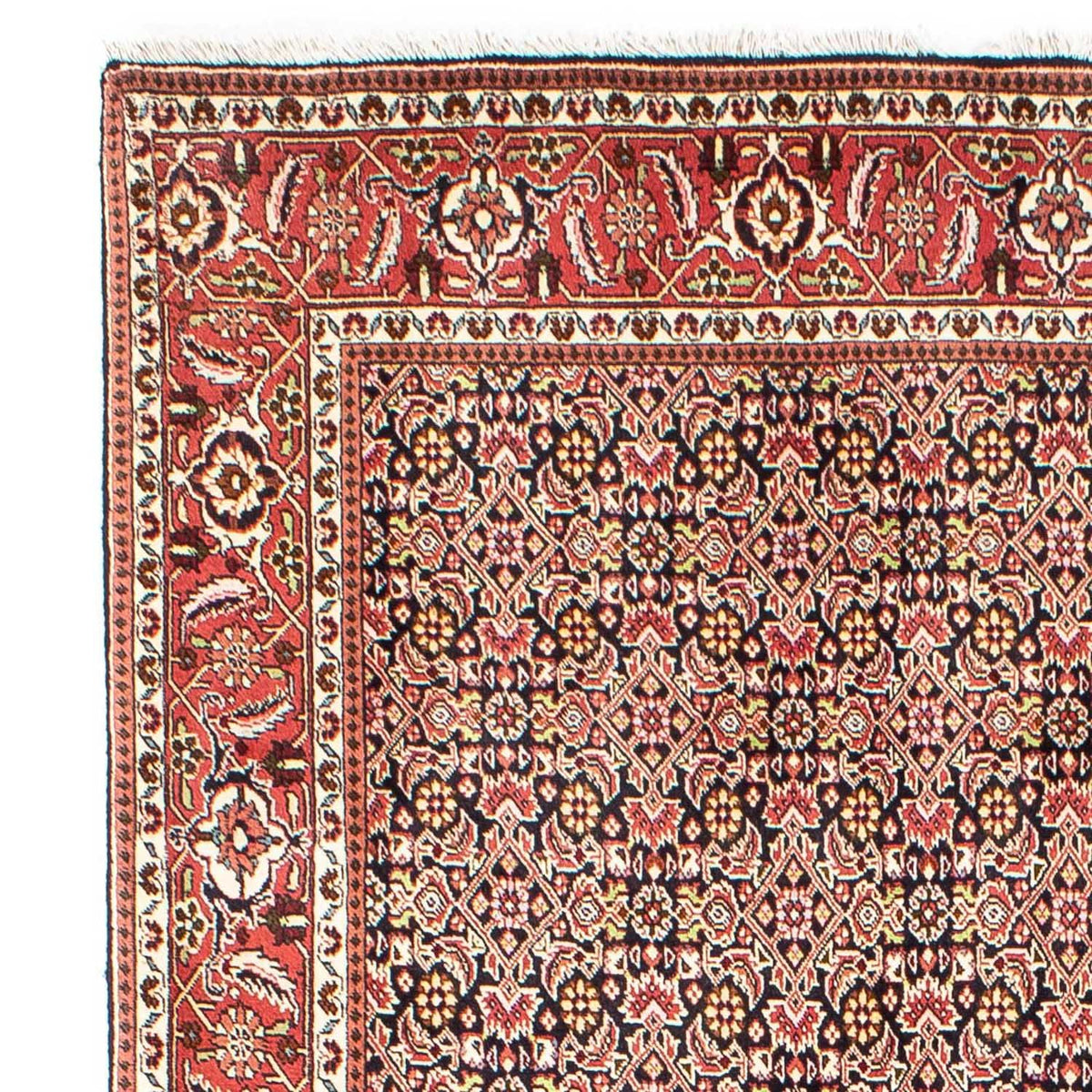Perser Rug - Bidjar - 252 x 173 cm - light red