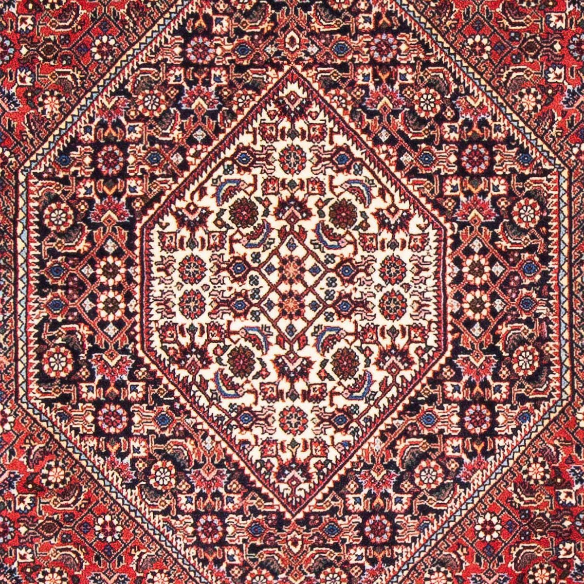 Perser Rug - Bidjar - 170 x 110 cm - red