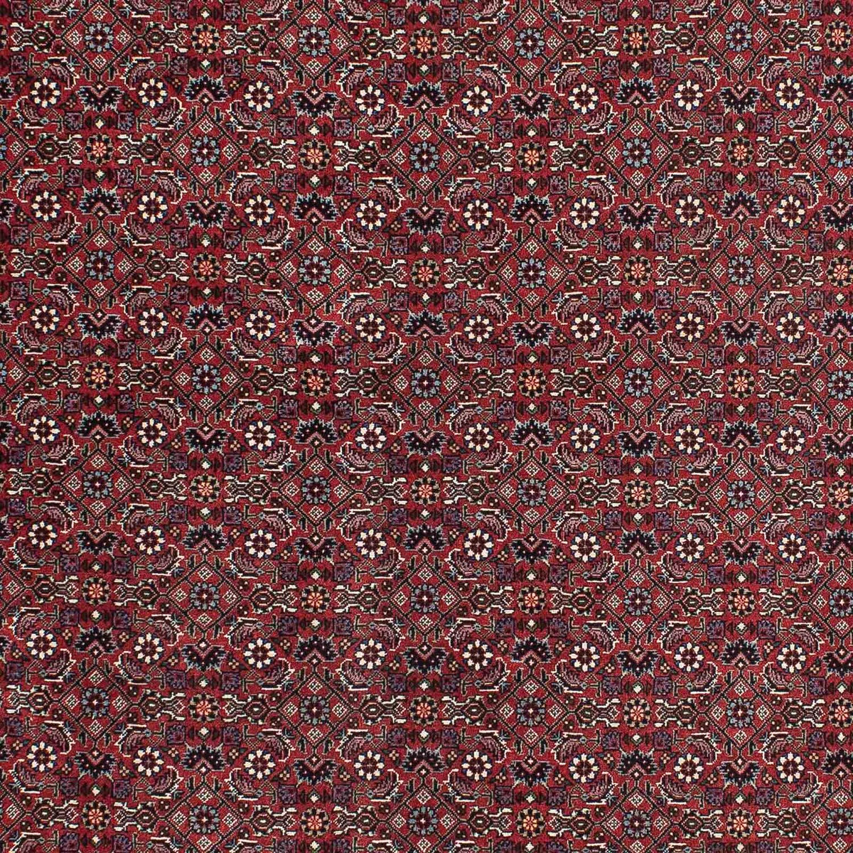 Perser Rug - Bidjar - 195 x 115 cm - red