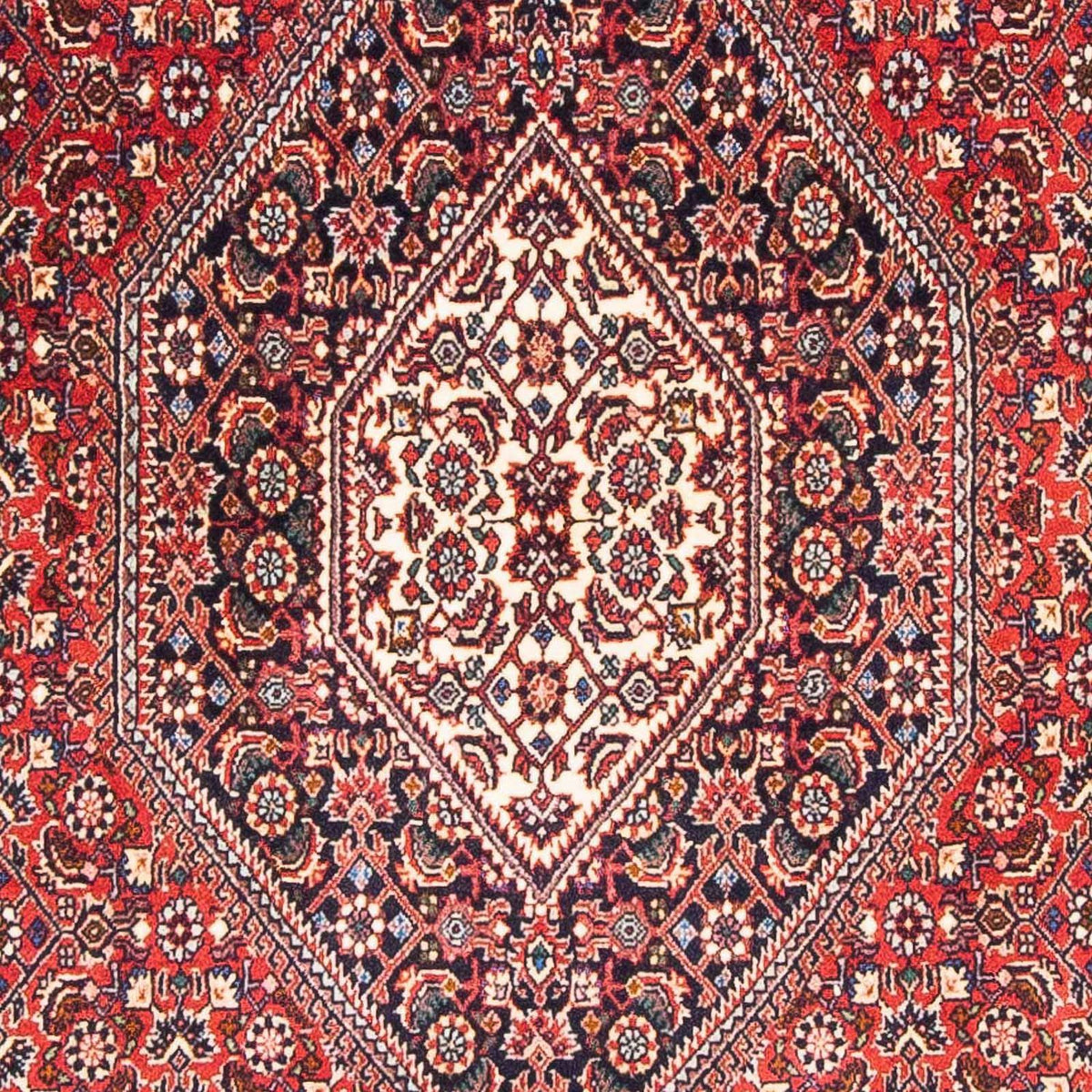 Perser Rug - Bidjar - 182 x 111 cm - red