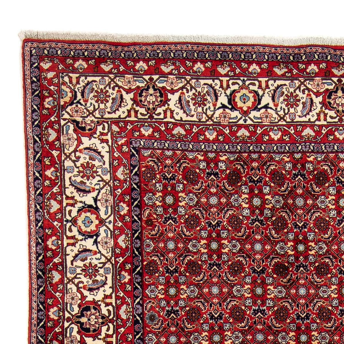 Perser Rug - Bidjar - 251 x 175 cm - red