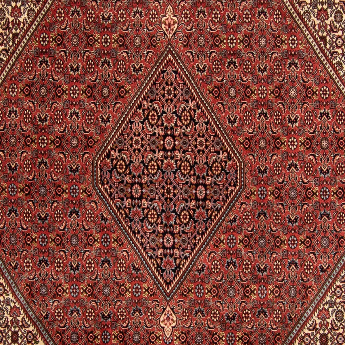 Perser Rug - Bidjar - 343 x 250 cm - dark red