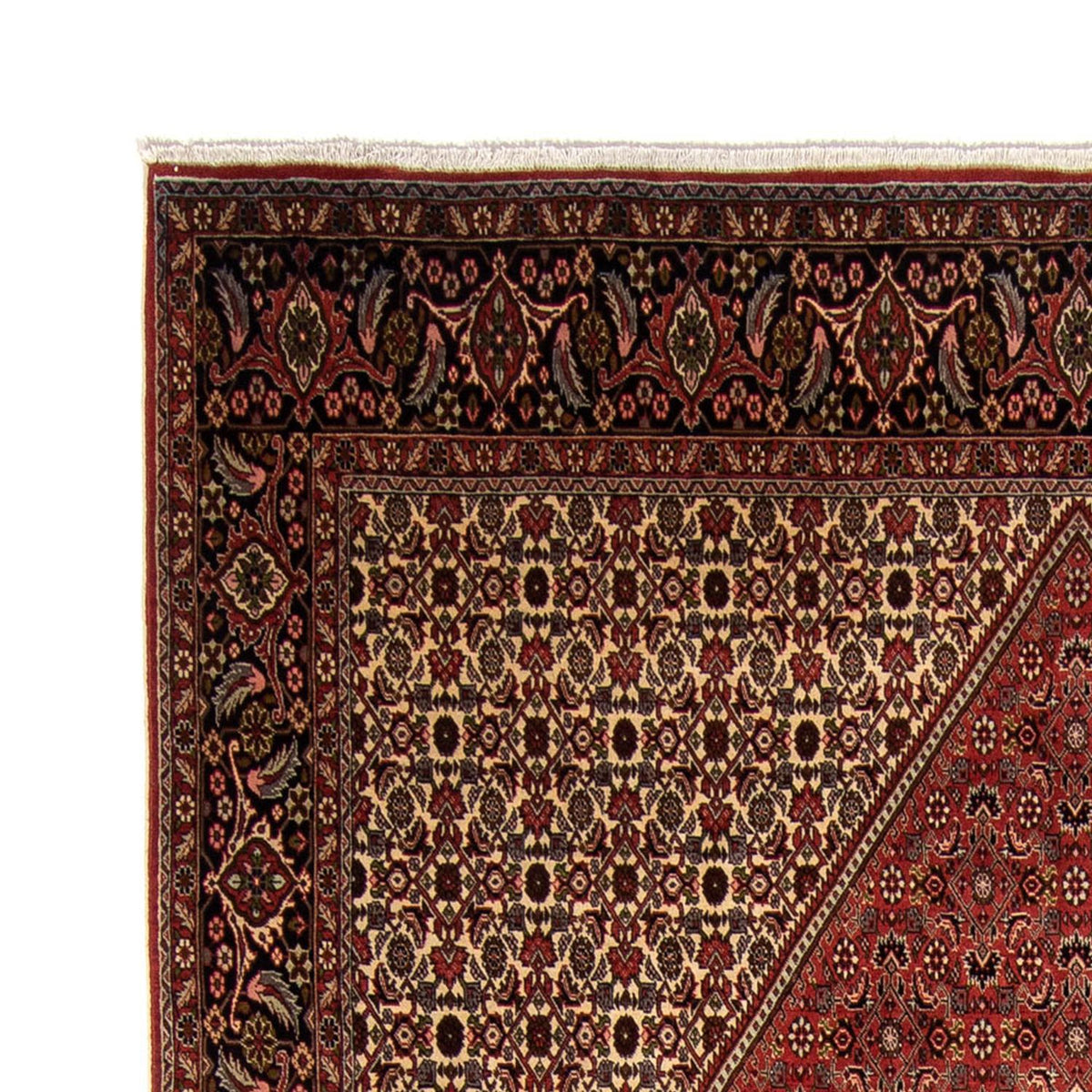 Bidjar Rug 250x343cm - Persian Rugs