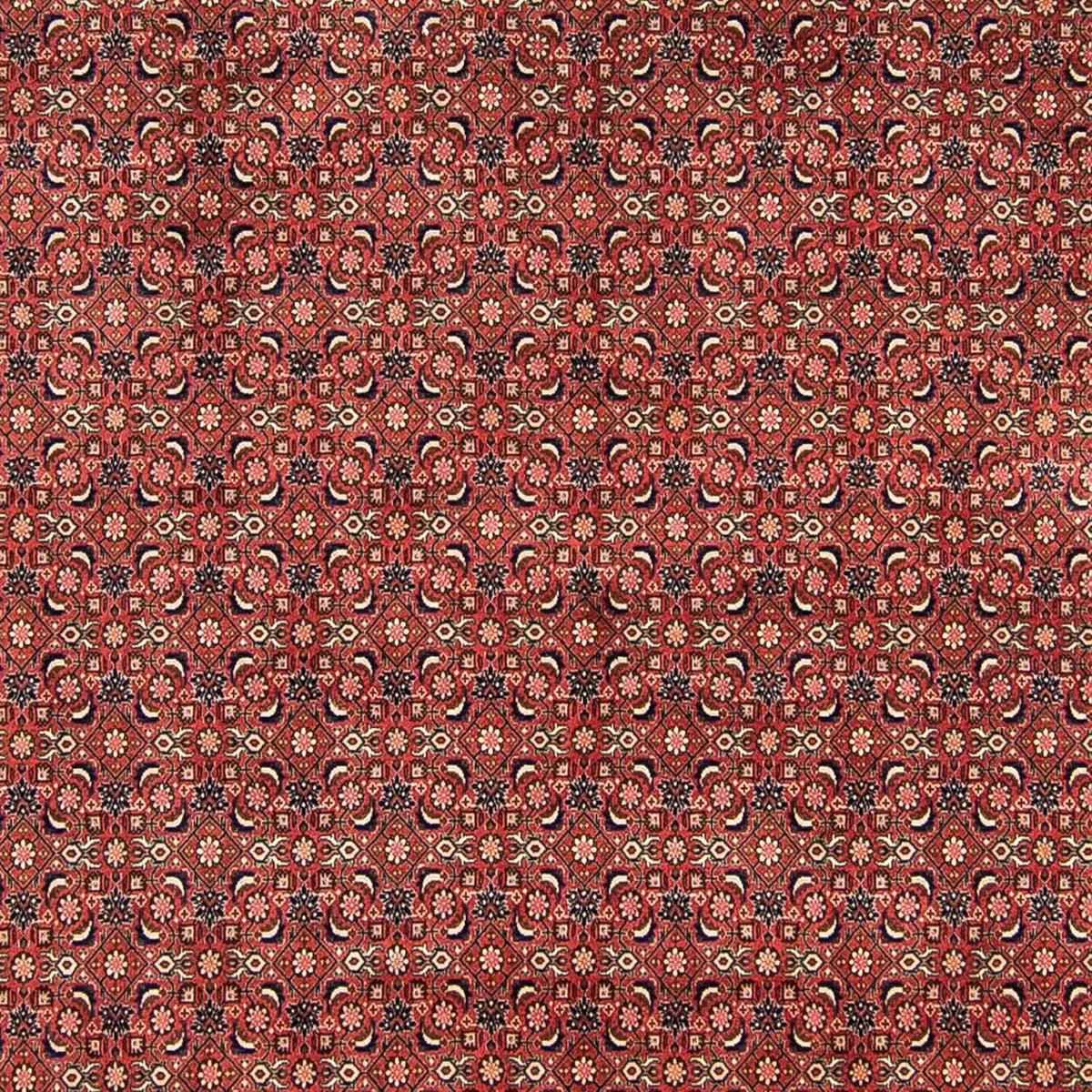 Perser Rug - Bidjar - 316 x 252 cm - red