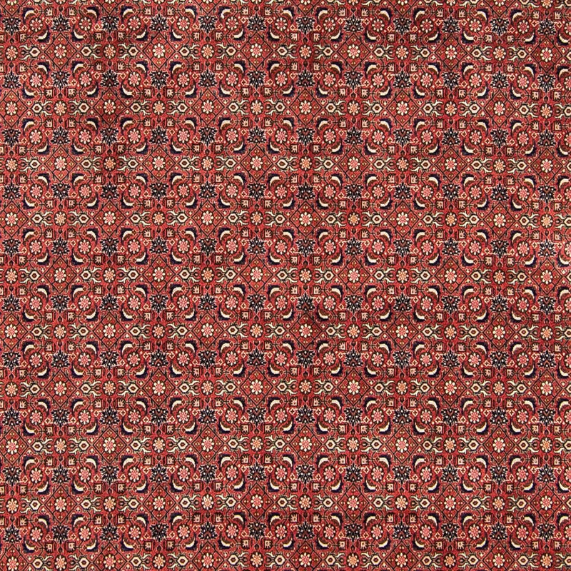 Perser Rug - Bidjar - 316 x 252 cm - red