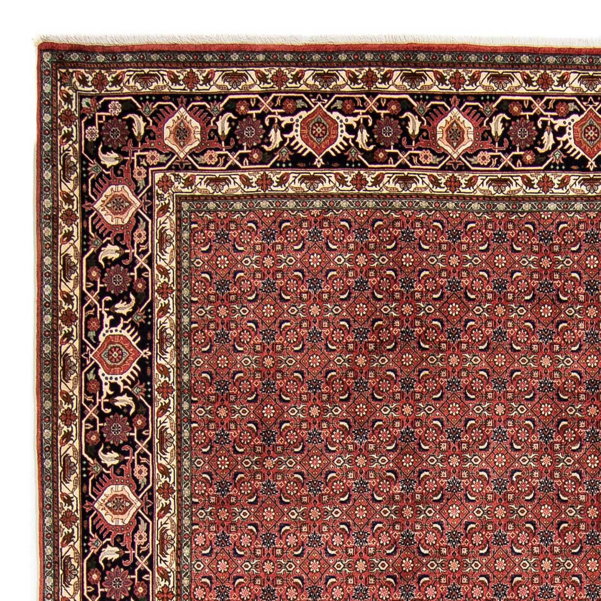 Perser Rug - Bidjar - 316 x 252 cm - red