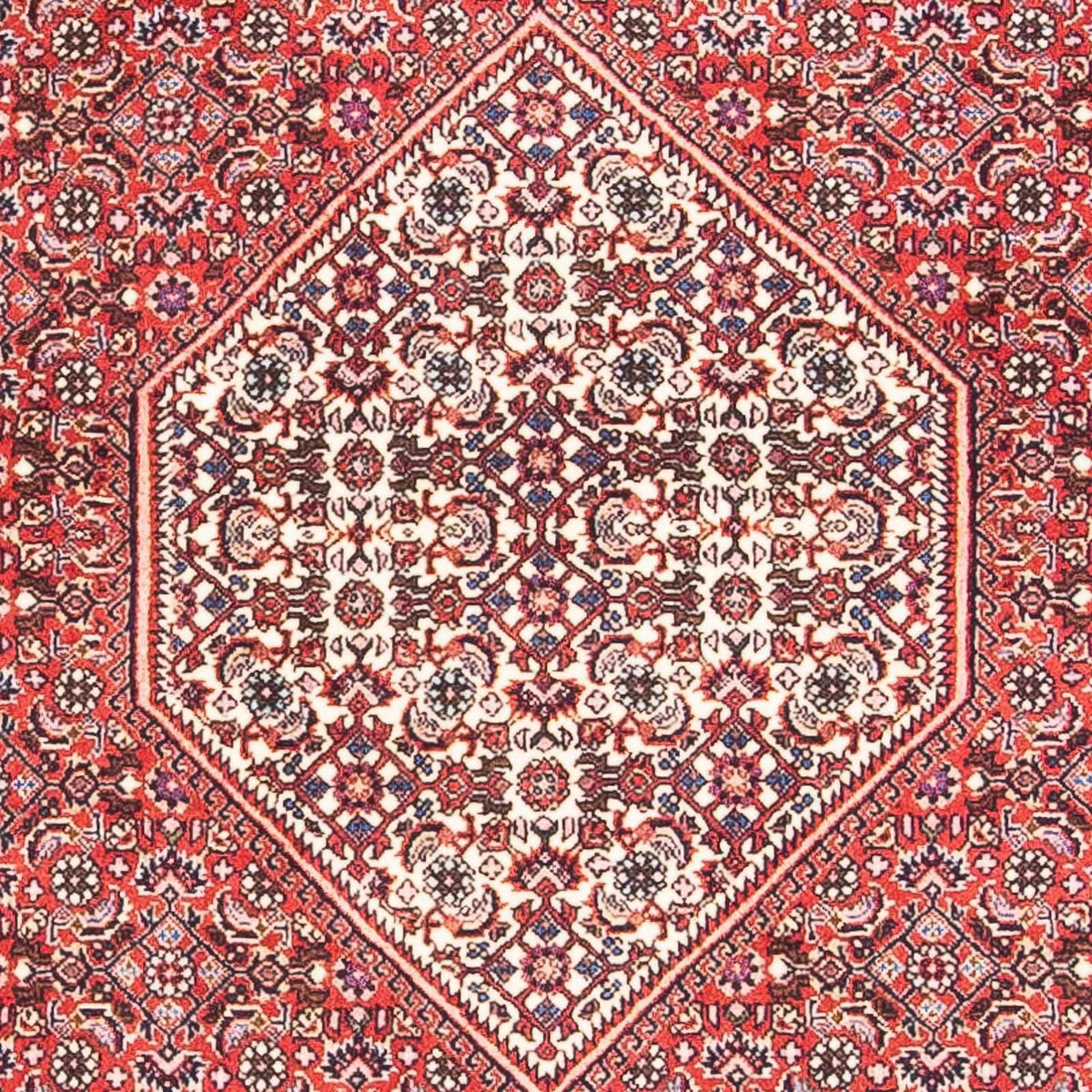 Perser Rug - Bidjar - 154 x 87 cm - red