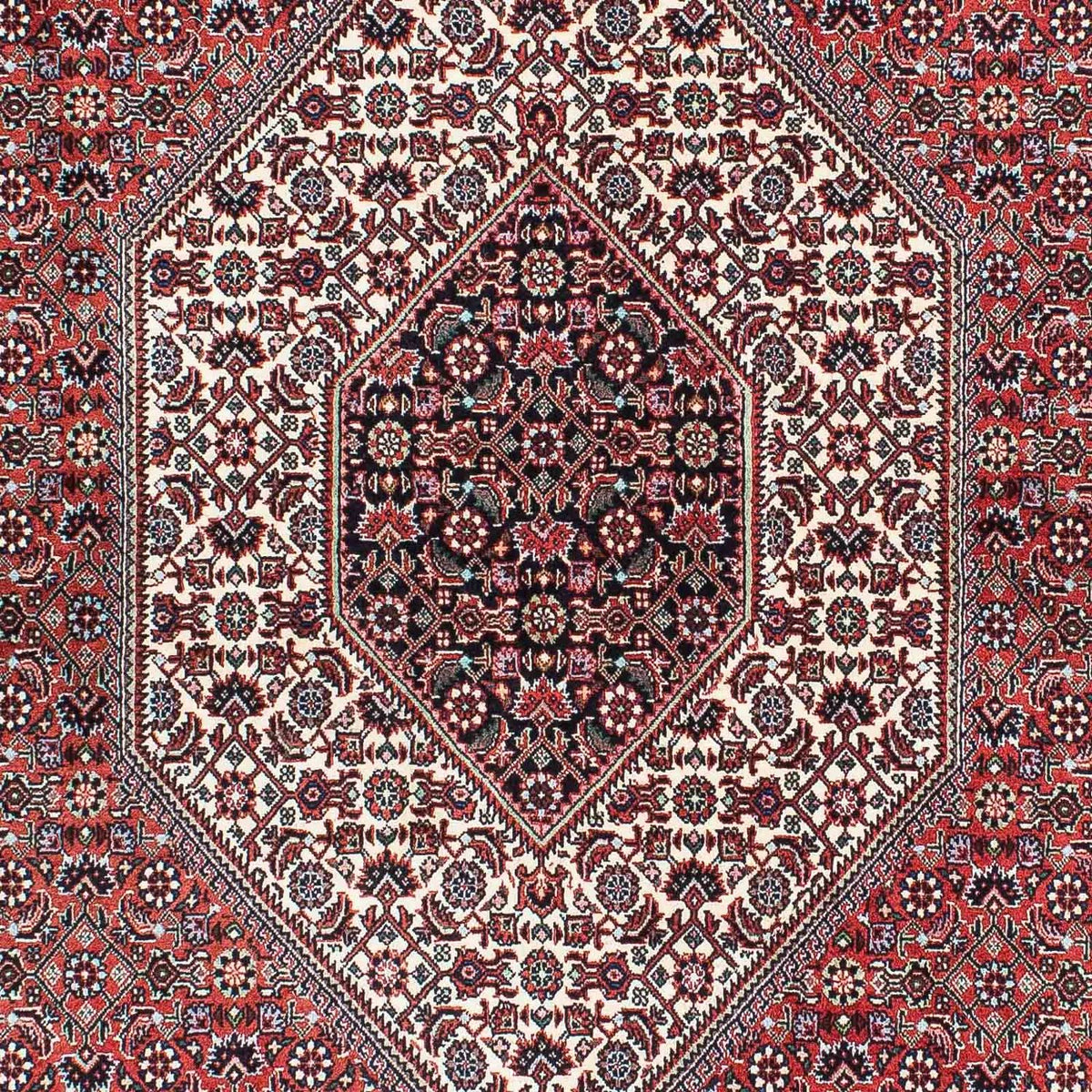 Perser Rug - Bidjar - 214 x 127 cm - light red
