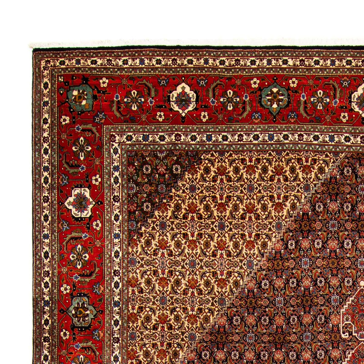 Perser Rug - Tabriz - 415 x 308 cm - multicolored