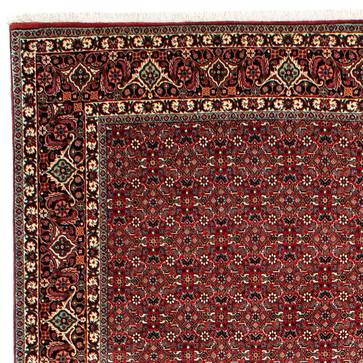 Bidjar Rug 210x302cm - Persian Rugs