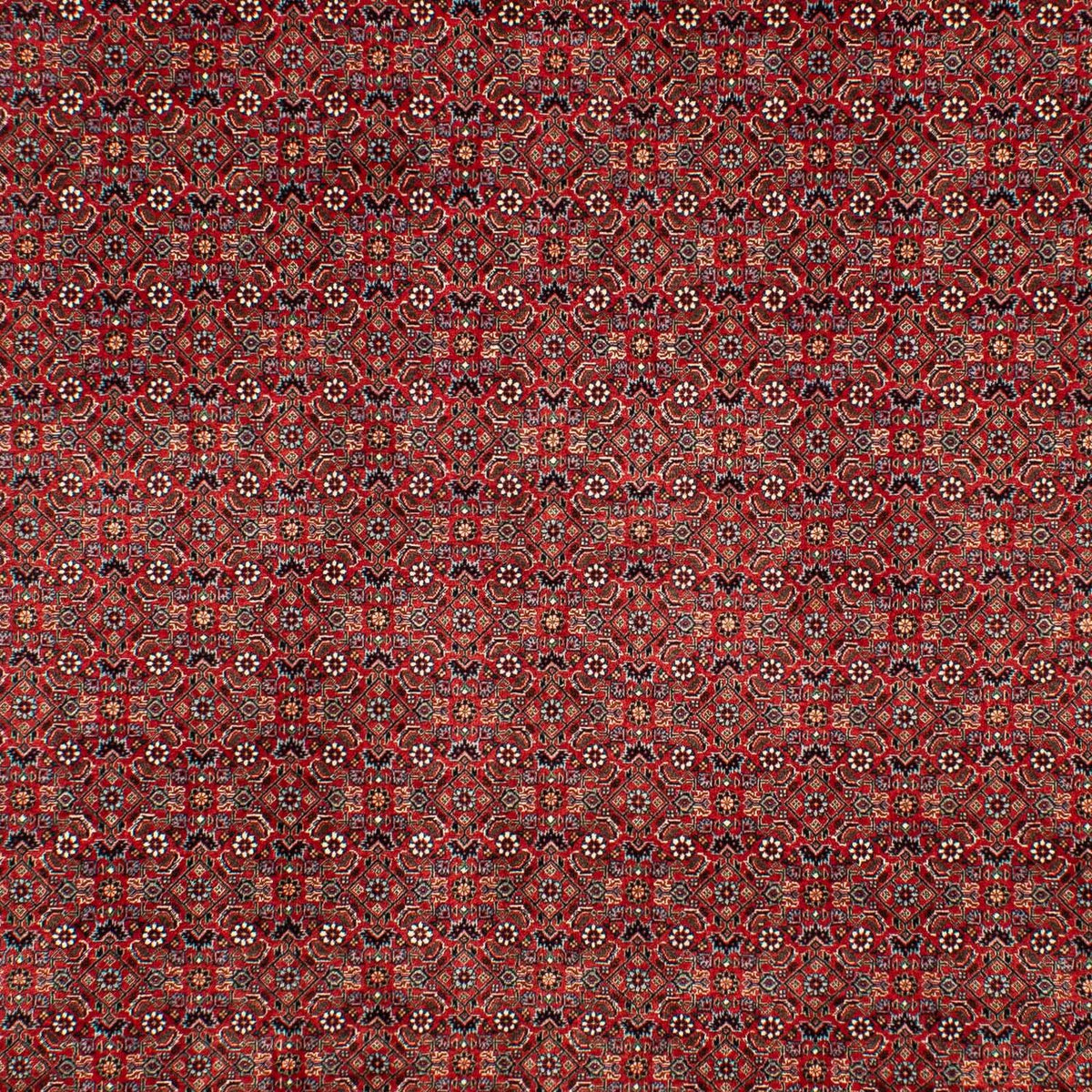 Perser Rug - Bidjar - 298 x 205 cm - dark red