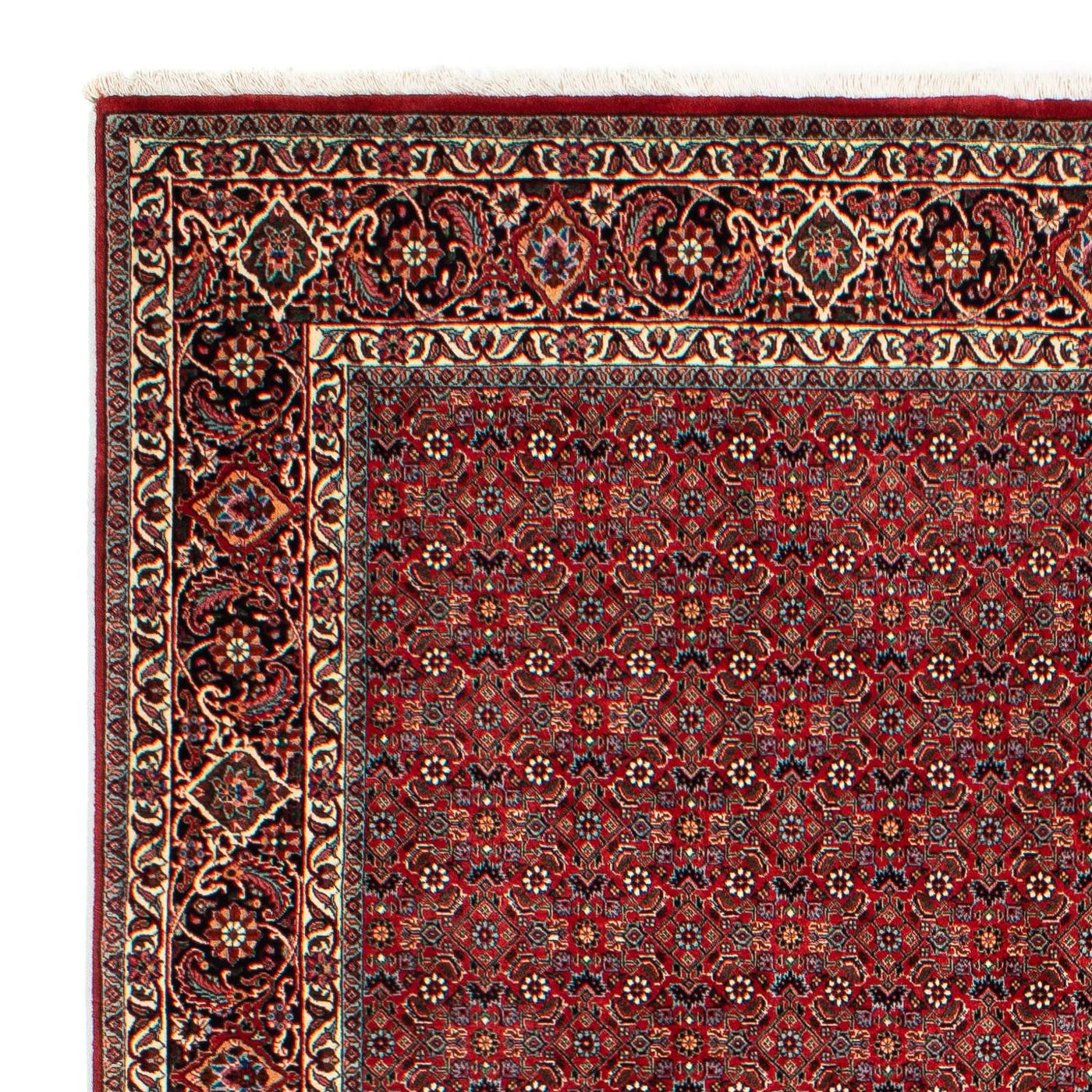 Bidjar Teppich 298x205cm - Perserteppich