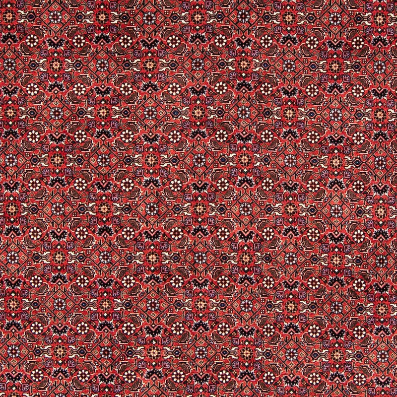 Perser Rug - Bidjar - 243 x 173 cm - dark red