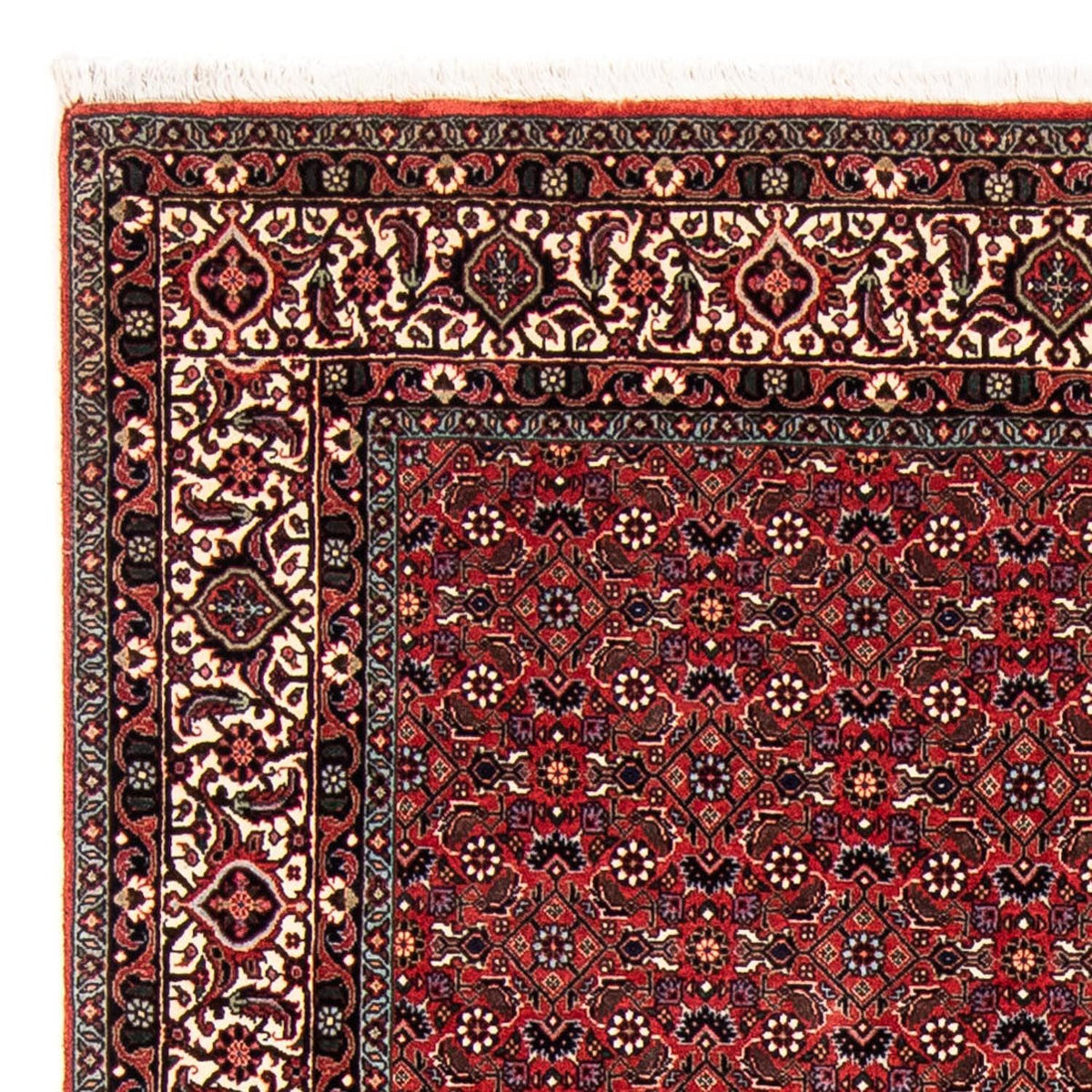 Perser Rug - Bidjar - 243 x 173 cm - dark red