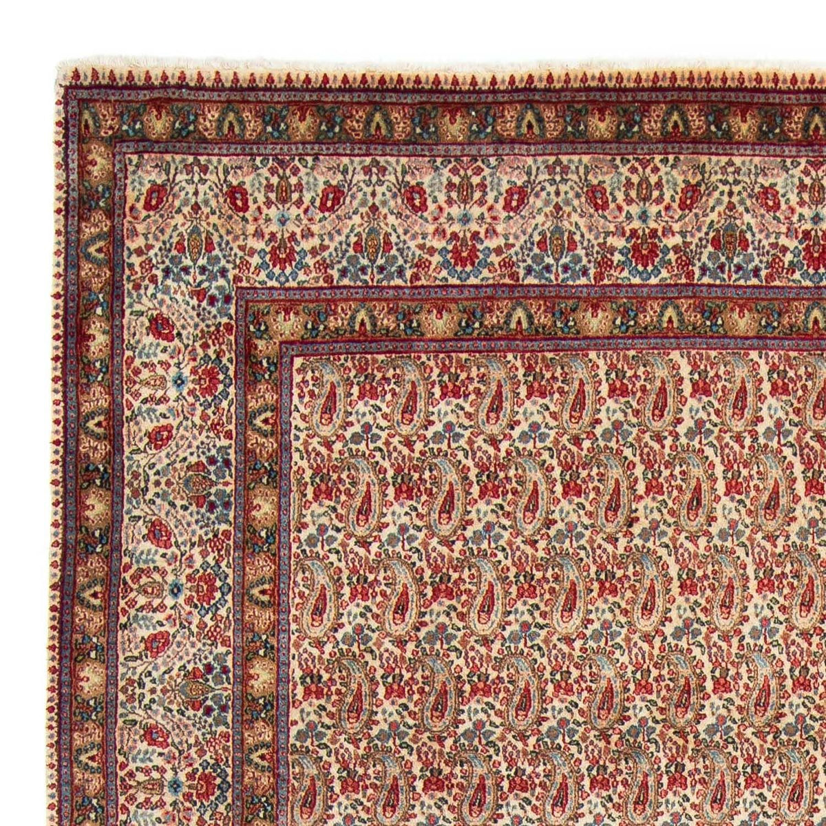 Rafsanjan Rug 205x307cm - Persian Rugs