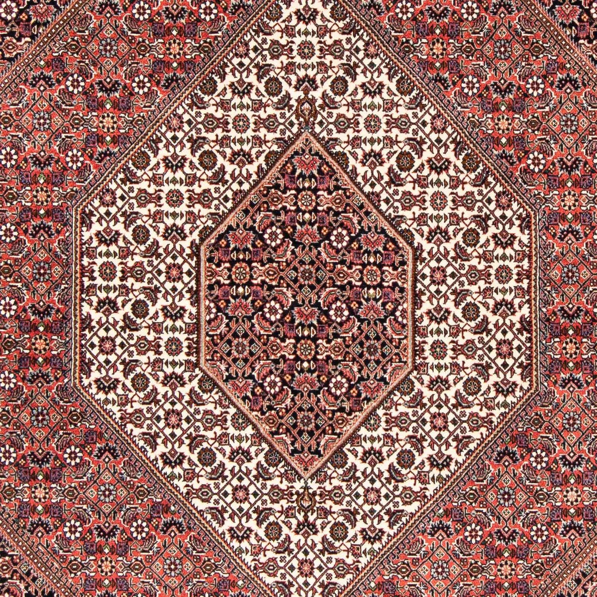Perser Rug - Bidjar - 227 x 171 cm - light red