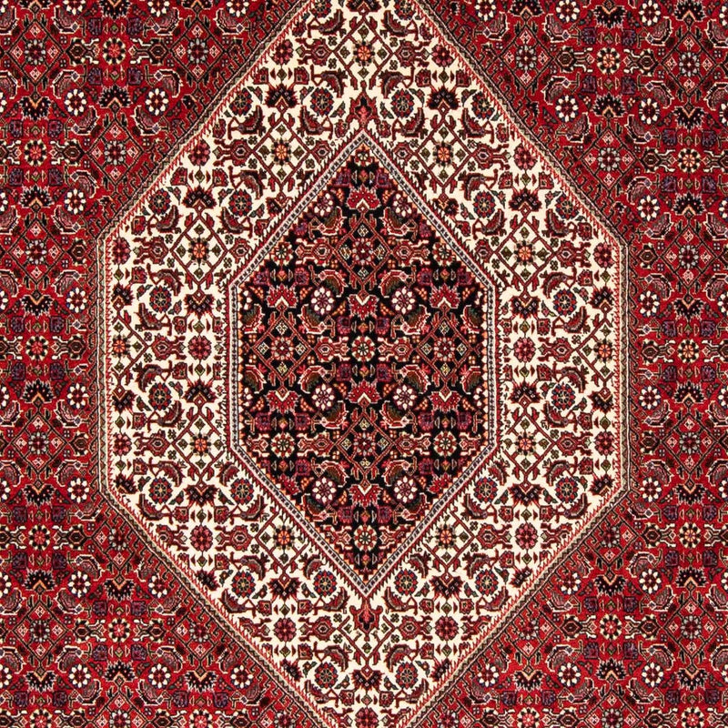 Bidjar Rug 246x170cm - Persian Rugs