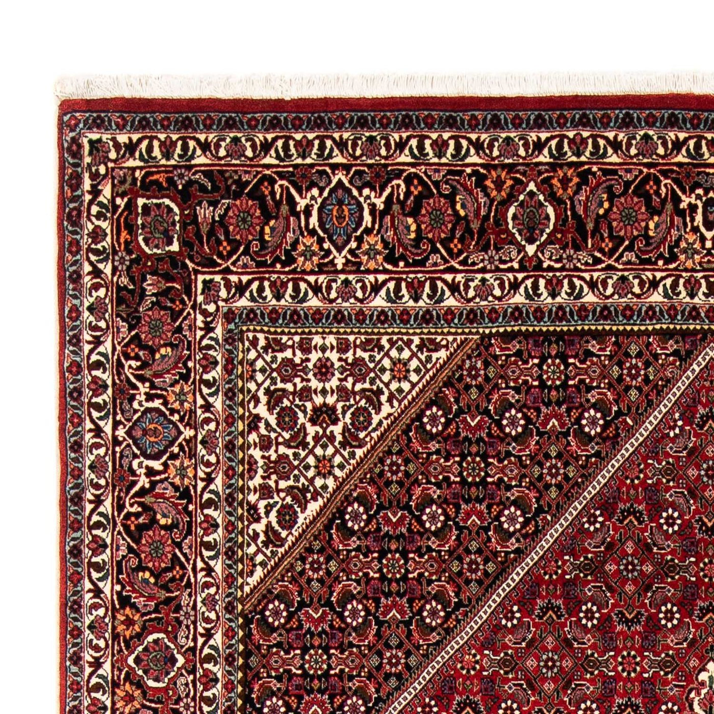 Bidjar Rug 246x170cm - Persian Rugs