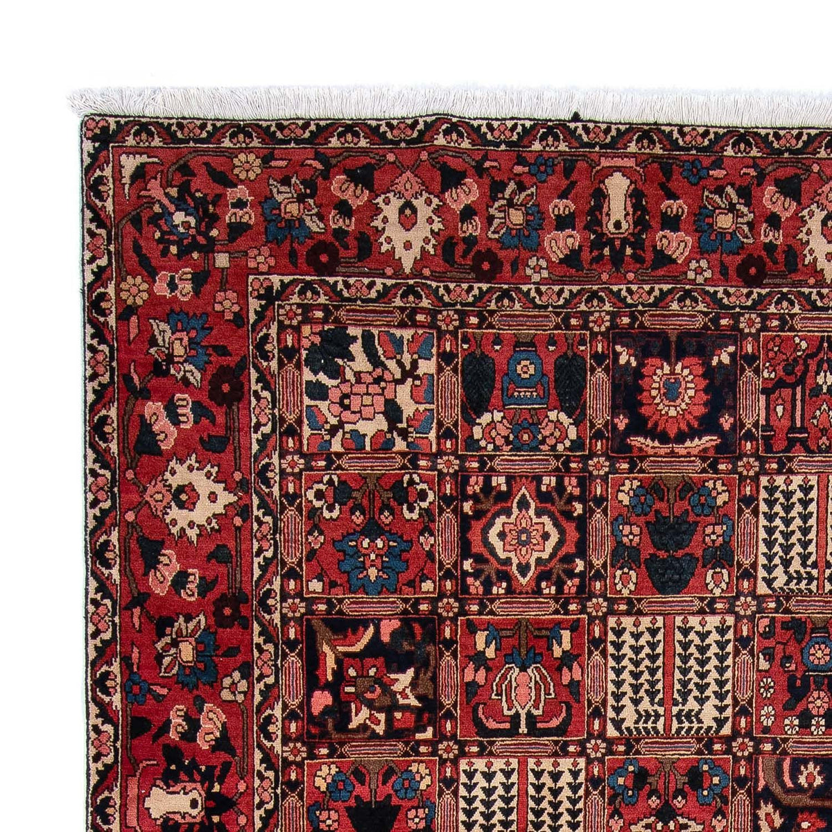 Perser Rug - Nomadic - 360 x 257 cm - dark red