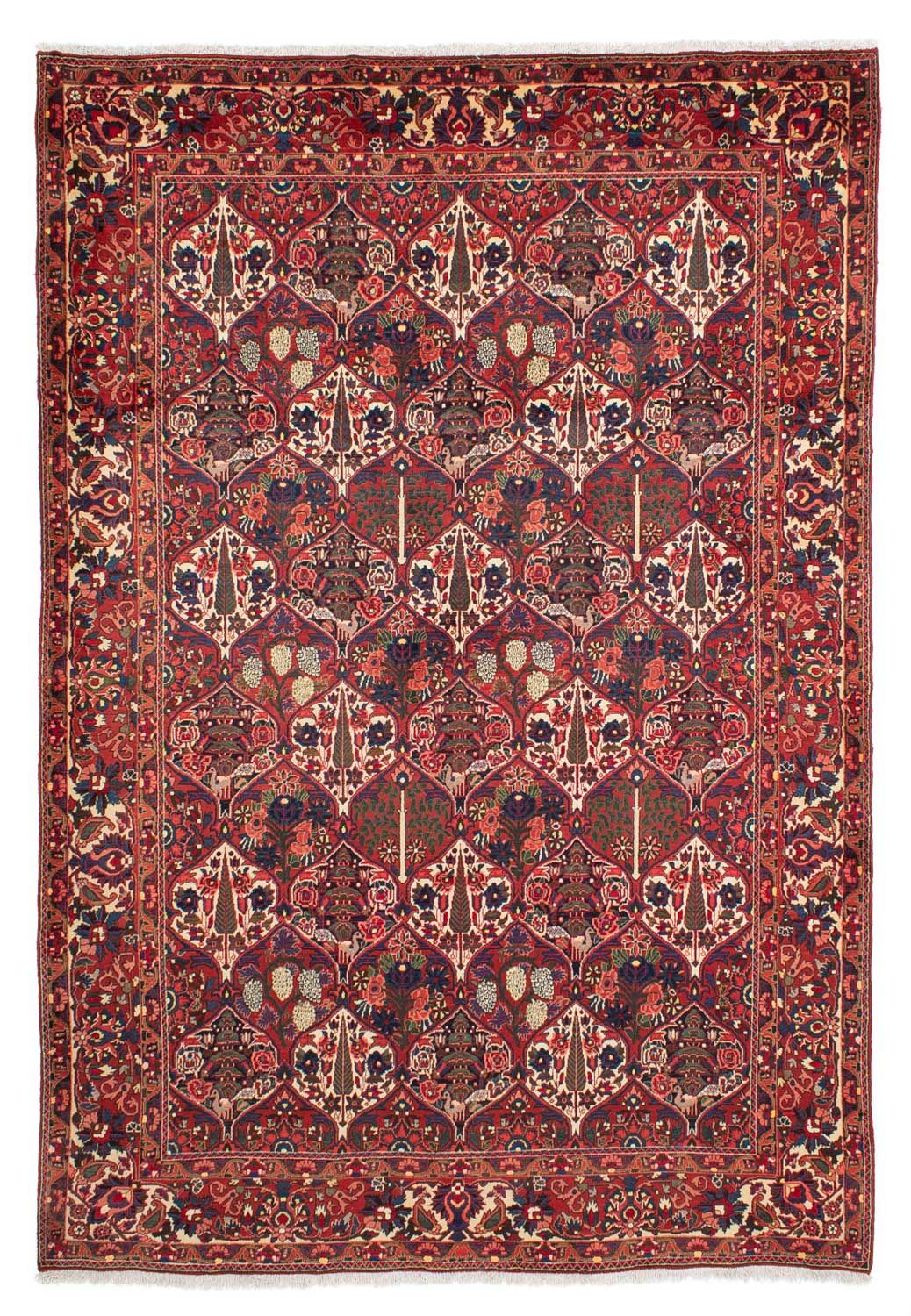 Perser Rug - Nomadic - 323 x 210 cm - dark red