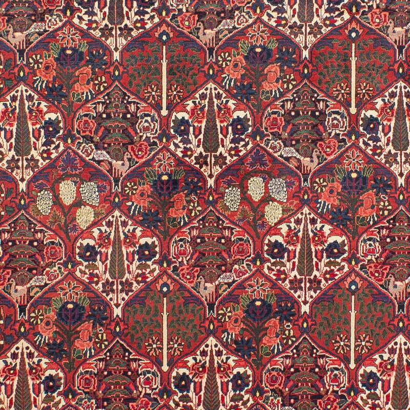 Perser Rug - Nomadic - 323 x 210 cm - dark red