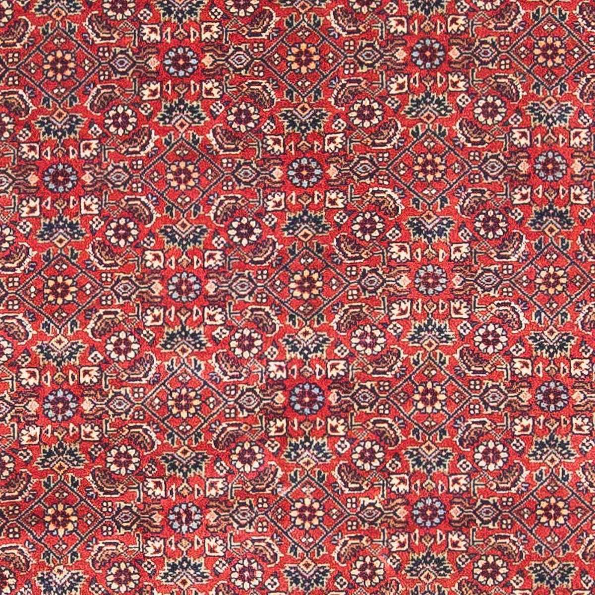 Perser Rug - Bidjar - 162 x 89 cm - red