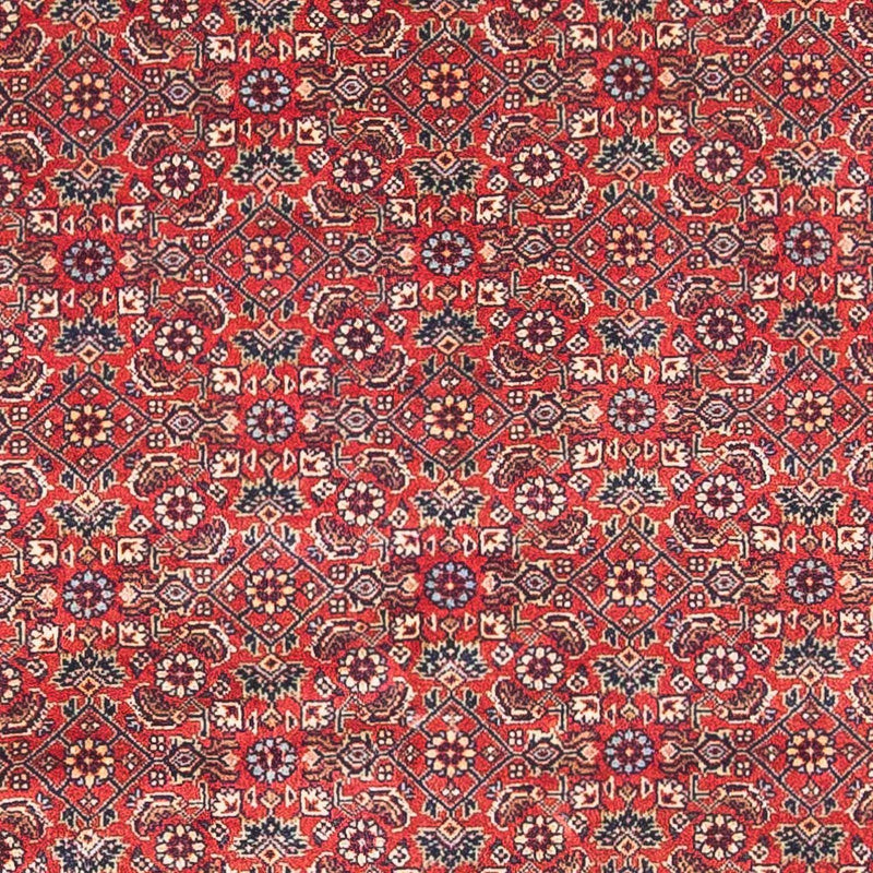 Perser Rug - Bidjar - 162 x 89 cm - red