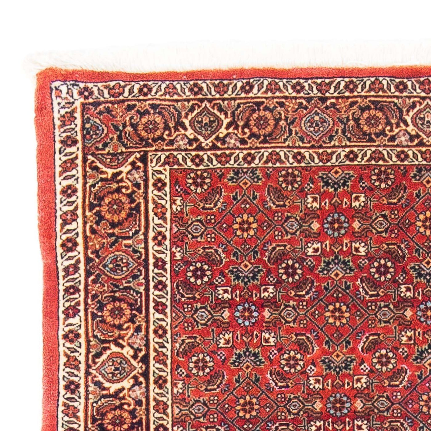 Bidjar Teppich 162x89cm - Perserteppich