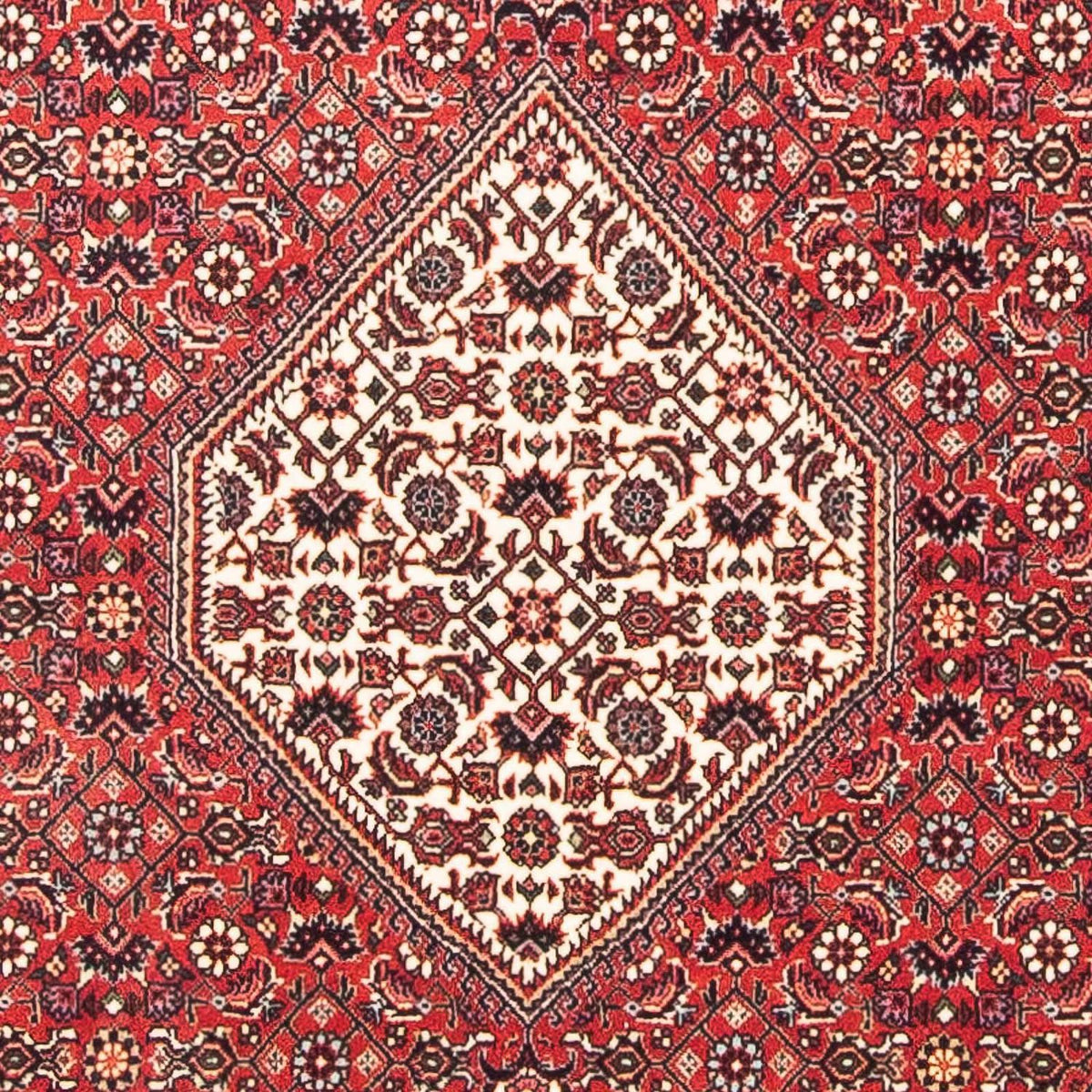 Perser Rug - Bidjar square  - 112 x 100 cm - red