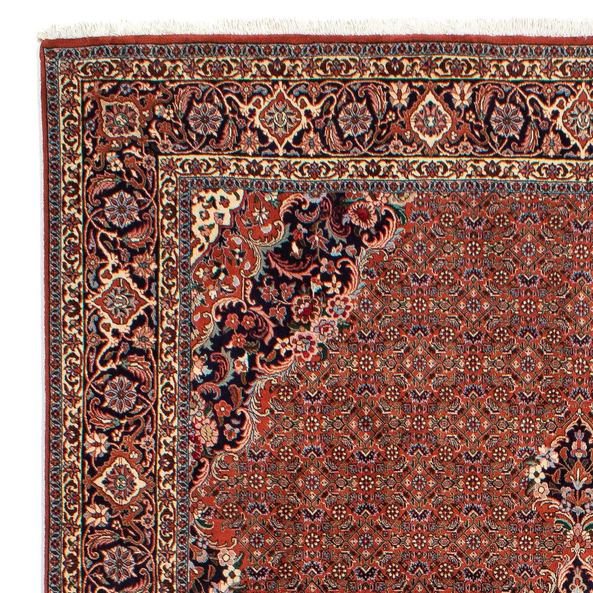 Bidjar Rug 203x298cm - Persian Rugs