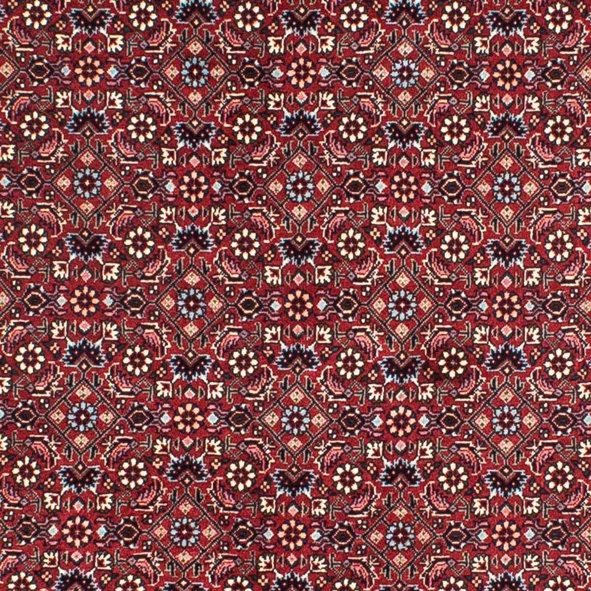 Perser Rug - Bidjar round  - 155 x 155 cm - dark red