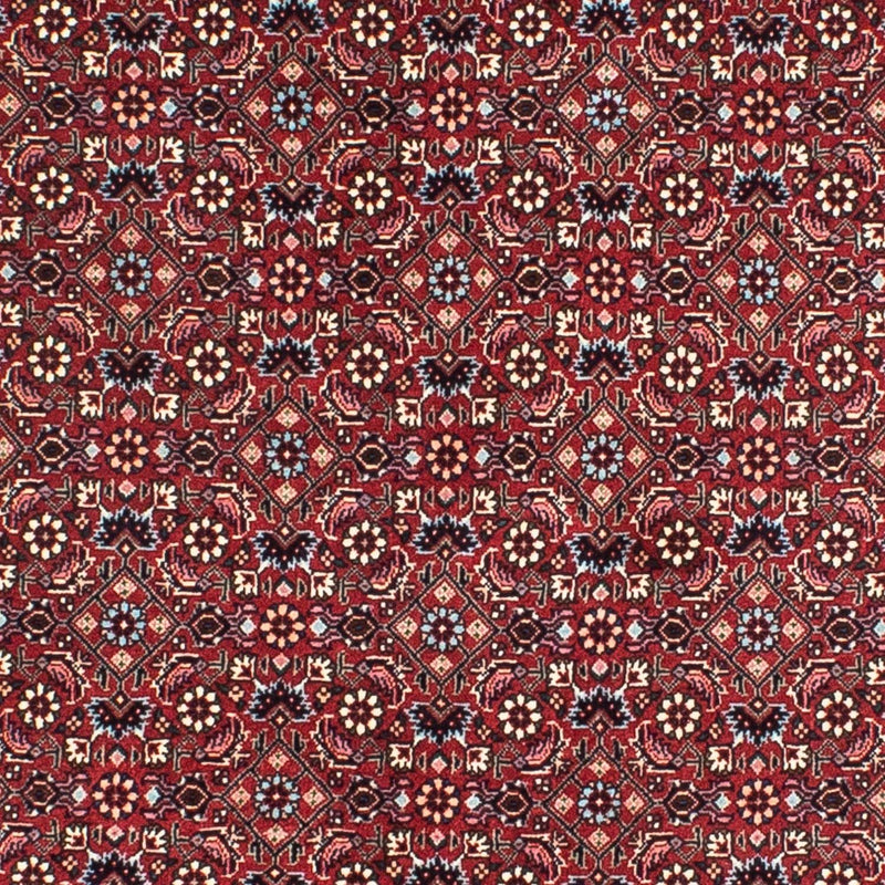 Perser Rug - Bidjar round  - 155 x 155 cm - dark red