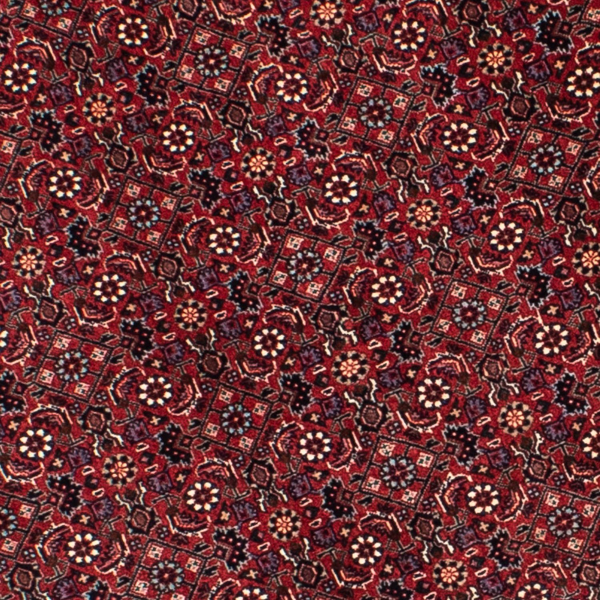 Perser Rug - Bidjar round  - 155 x 155 cm - dark red