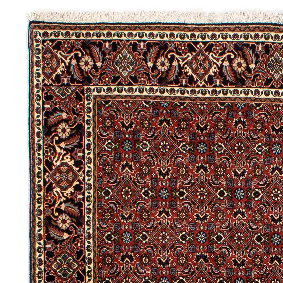 Perser Rug - Bidjar - 246 x 172 cm - dark red