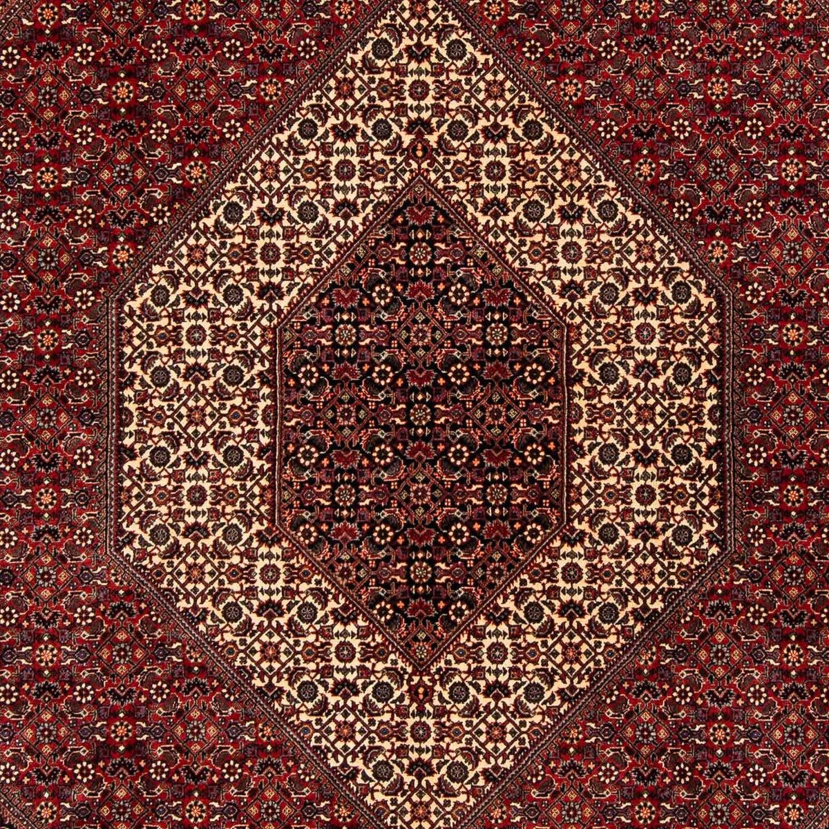 Perser Rug - Bidjar - 254 x 204 cm - dark red
