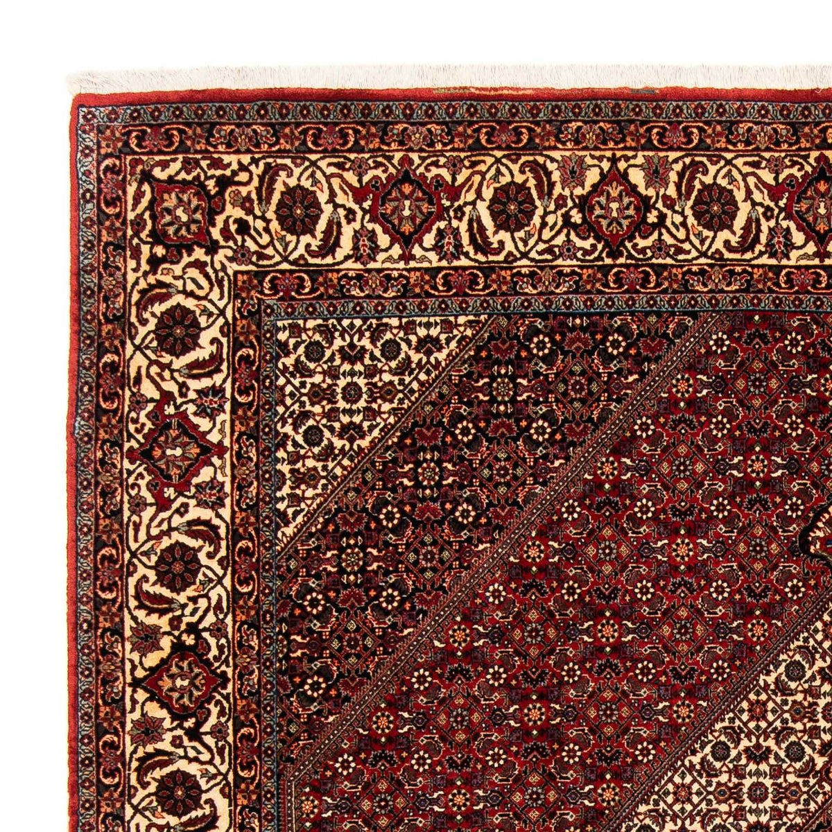 Perser Rug - Bidjar - 254 x 204 cm - dark red