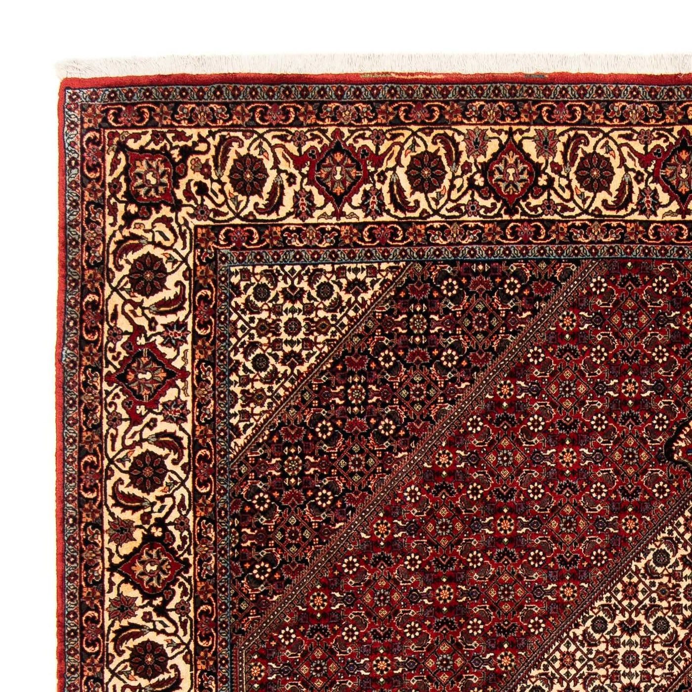 Bidjar Rug 254x204cm - Persian Rugs