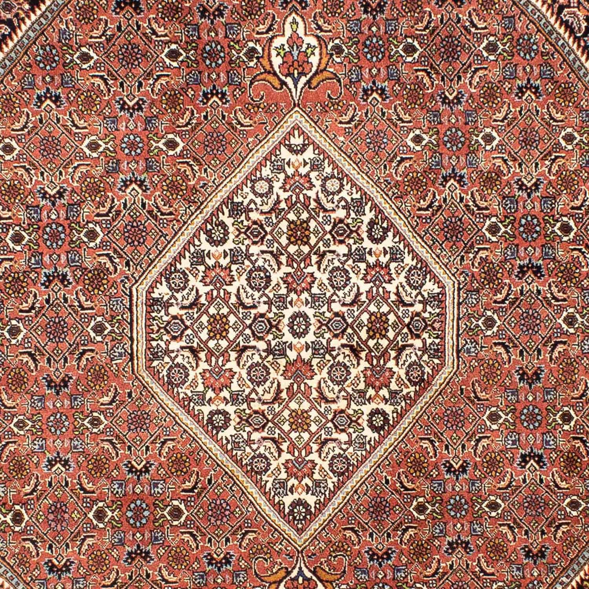 Perser Rug - Bidjar - 242 x 165 cm - light red